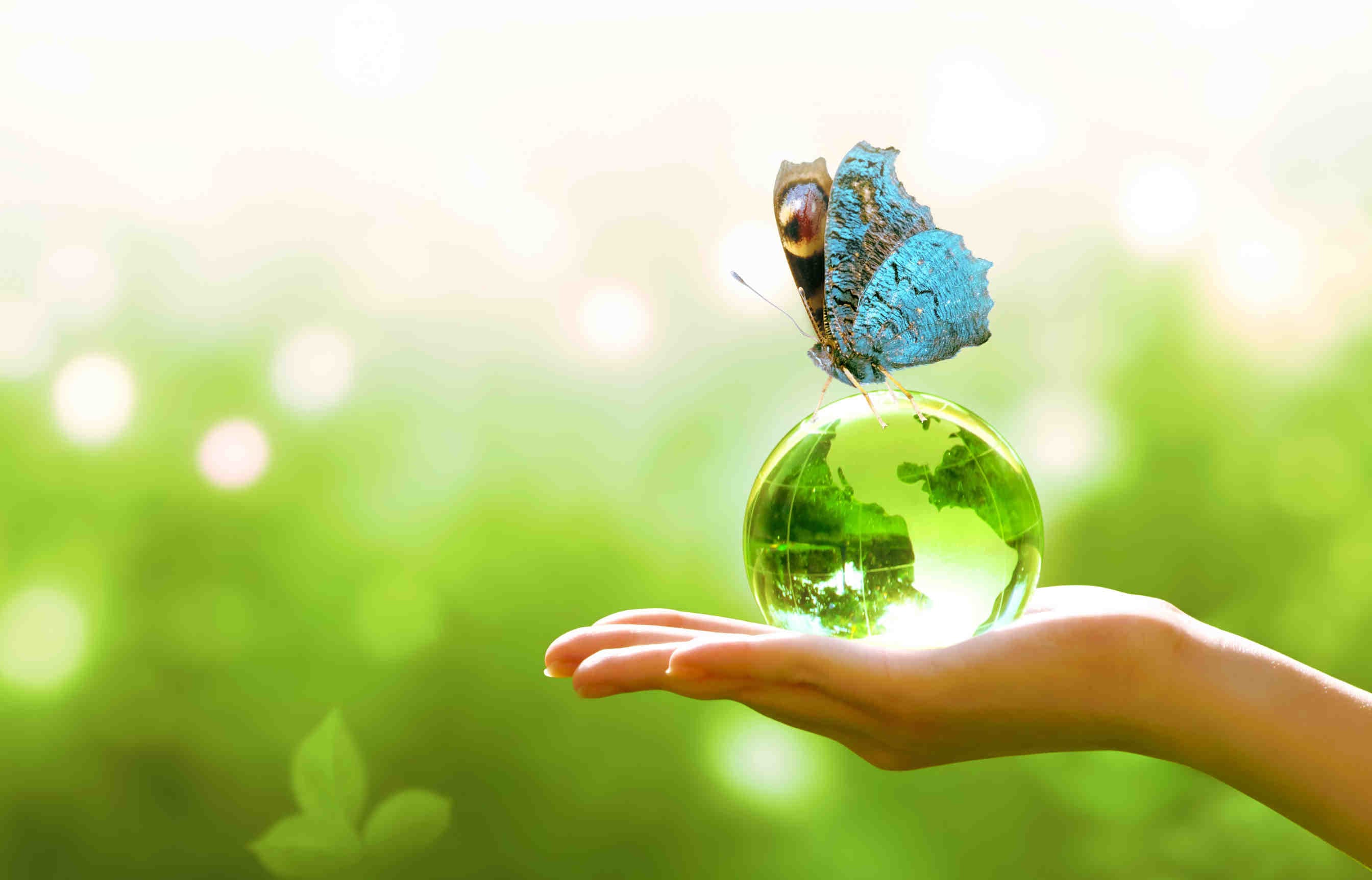 La relazione tra biodiversità e CO2