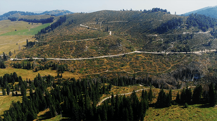 Piana di Marcesina