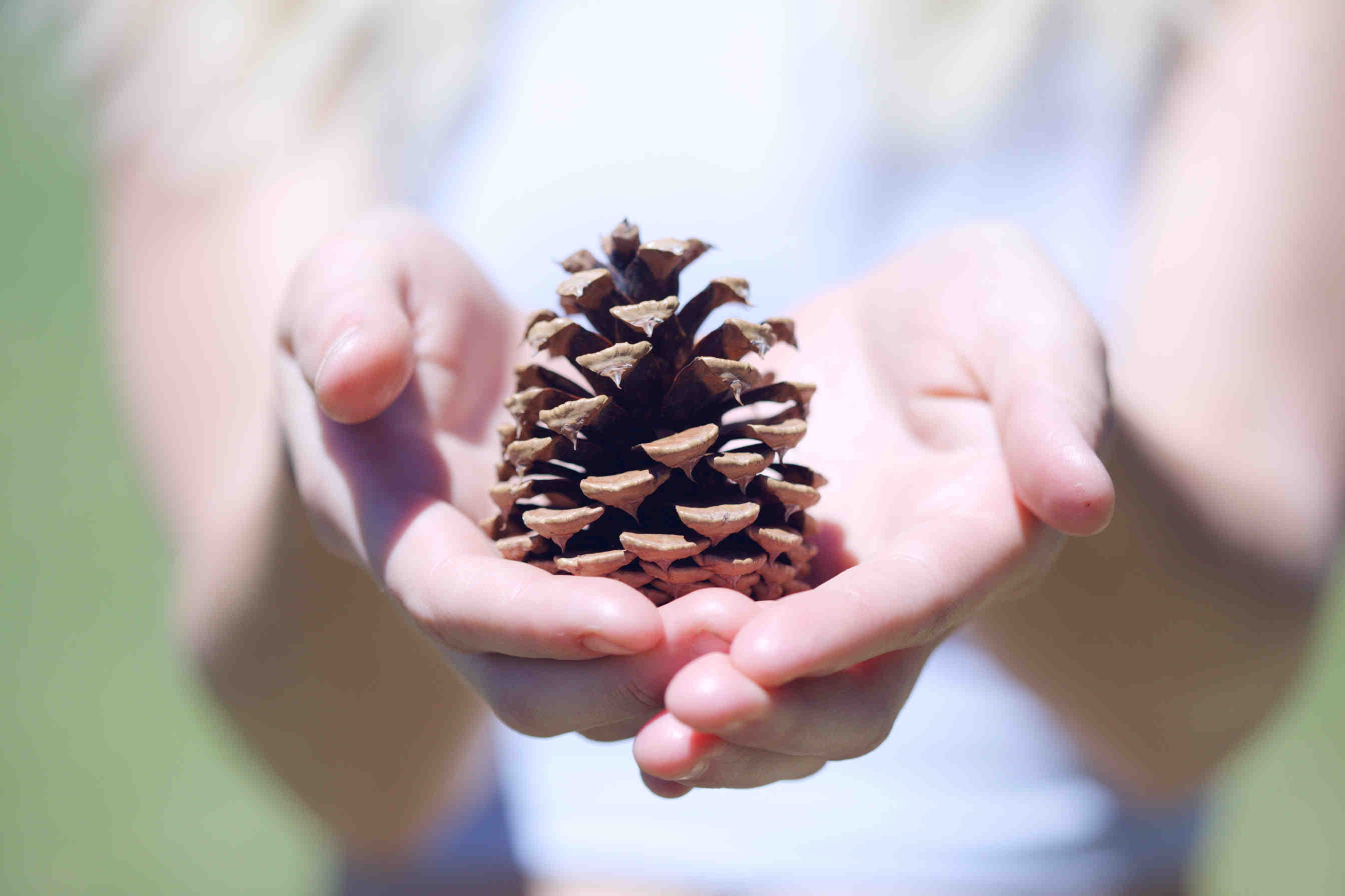Regali ecosostenibili e di design