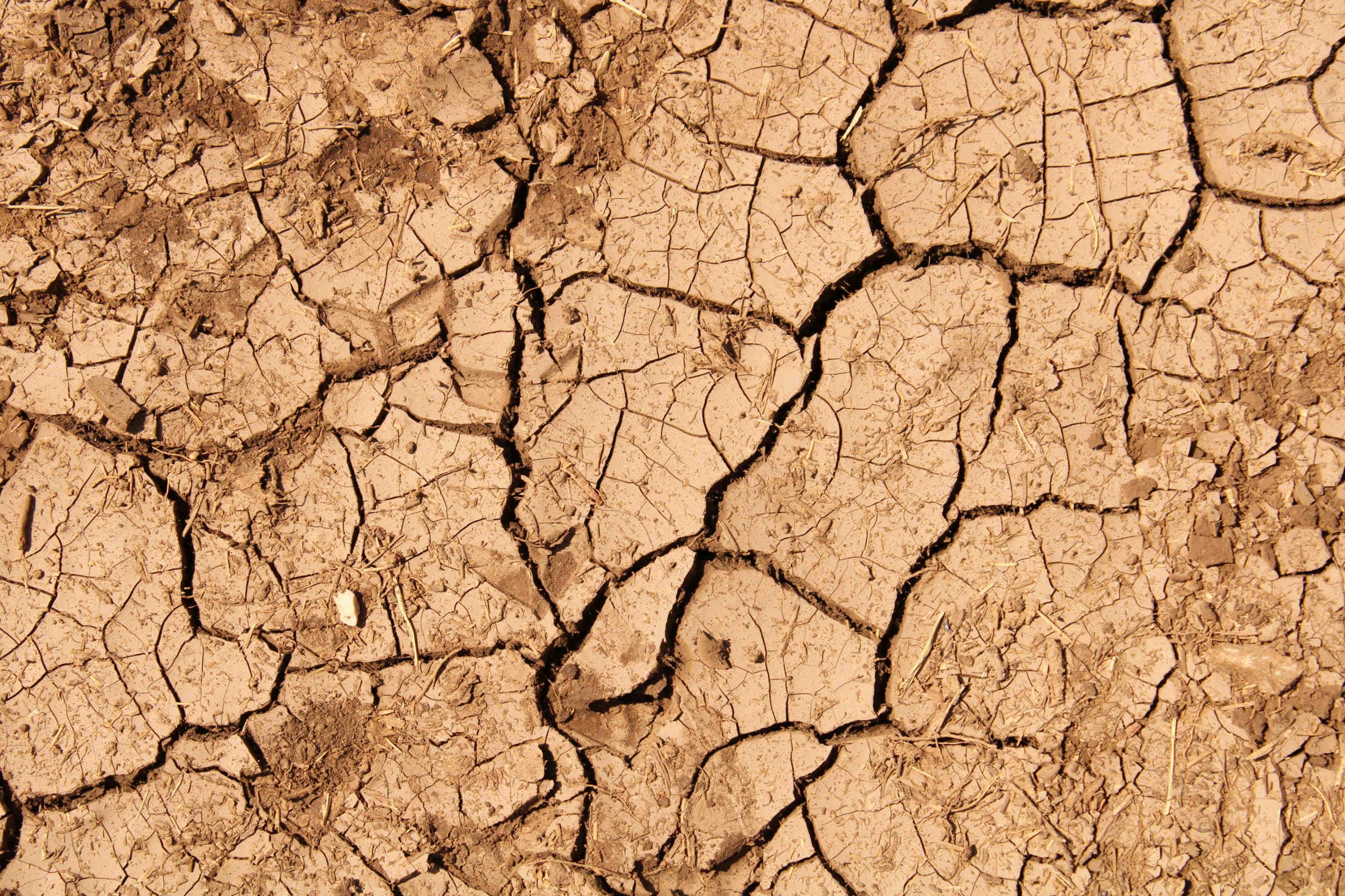 Giornata mondiale per la lotta a desertificazione e siccità 2025
