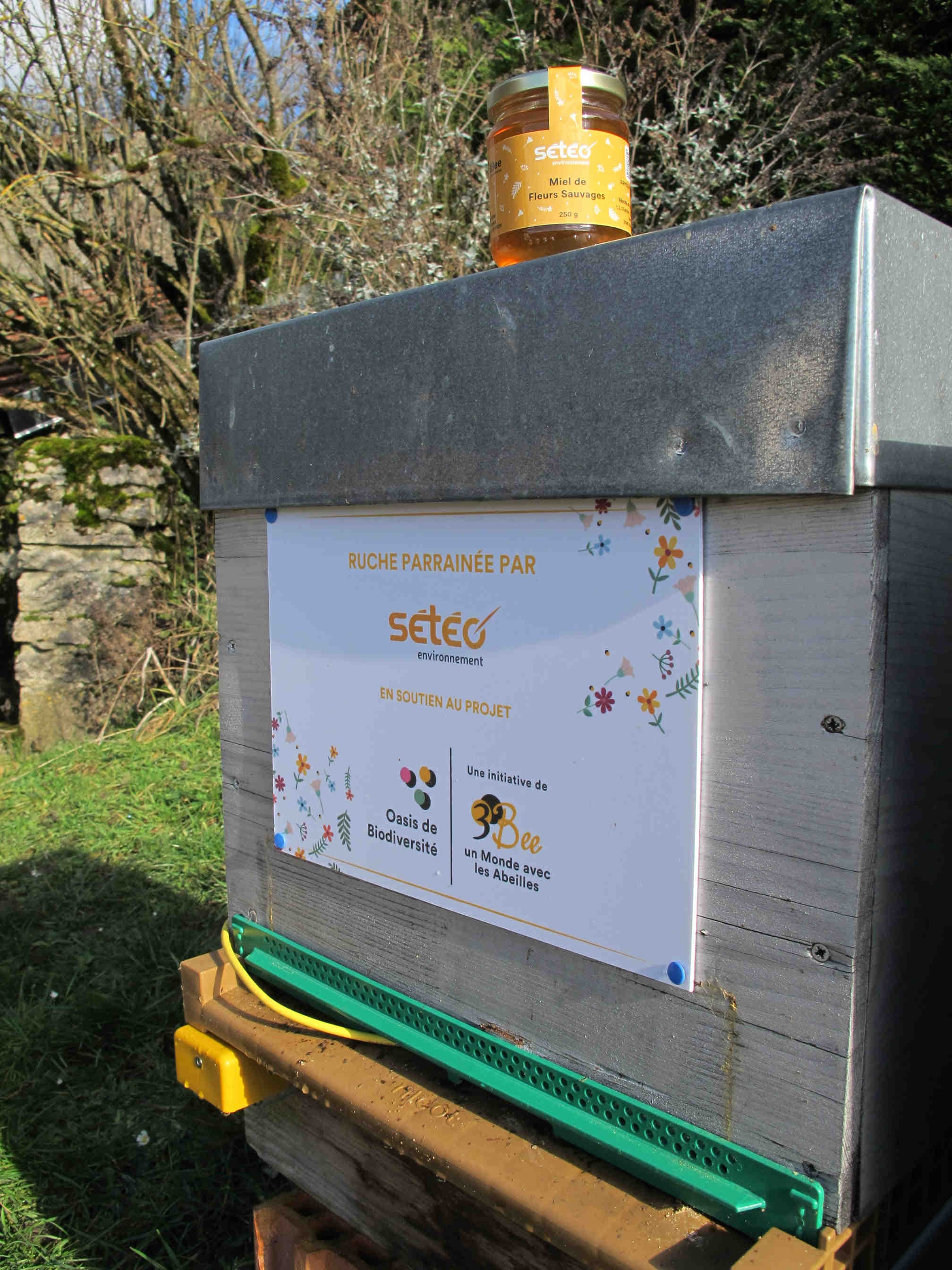 Adoption d'une ruche connectée chez un apiculteur