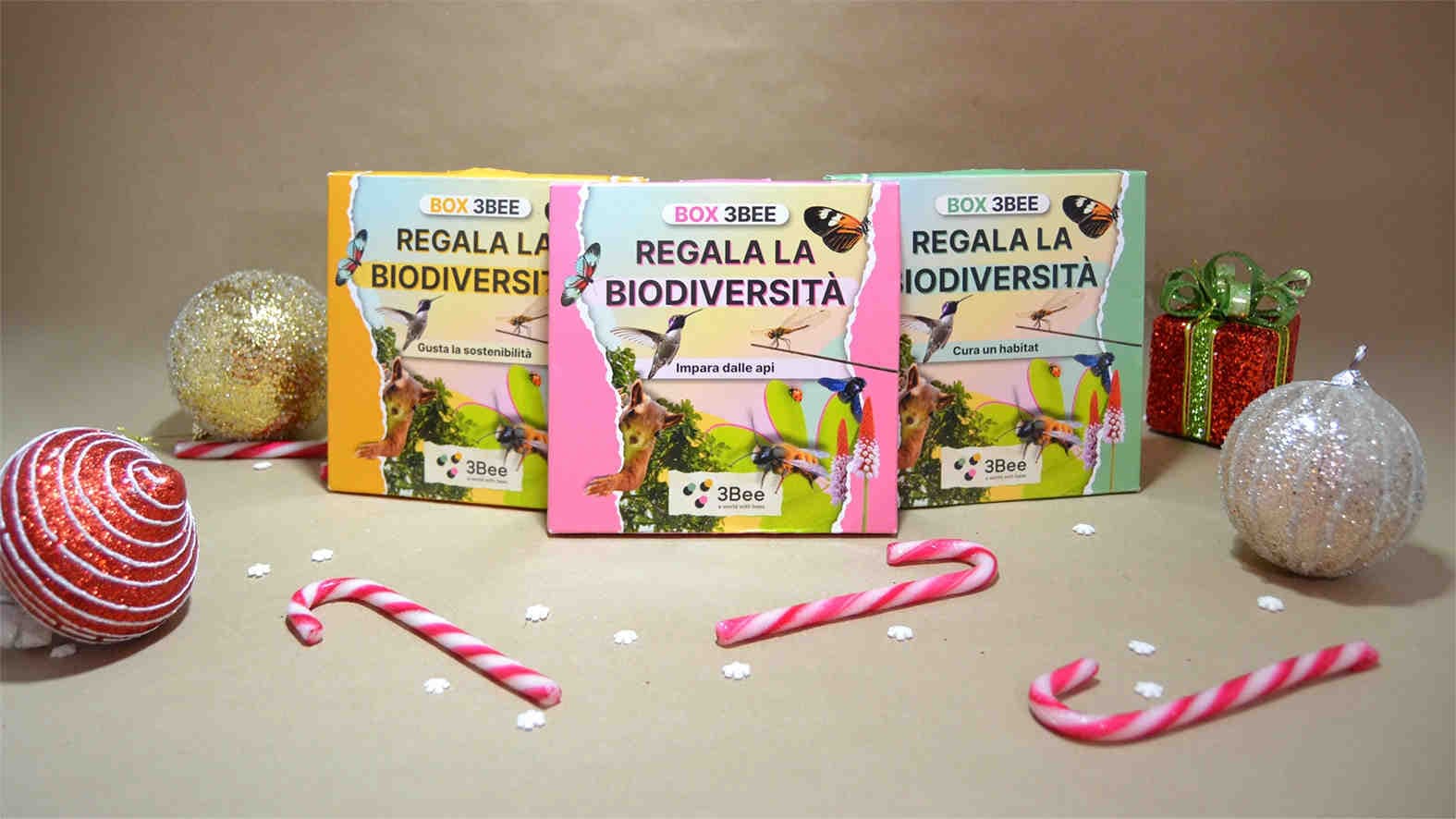 3bee-blog-box-3bee-un-esperienza-unica