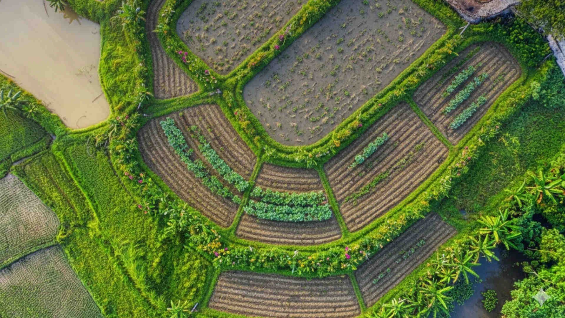 Regenerative Agriculture: Tracking Nature’s Recovery