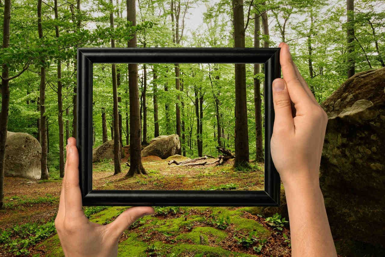 Futuro della biodiversità e dell’economia globale