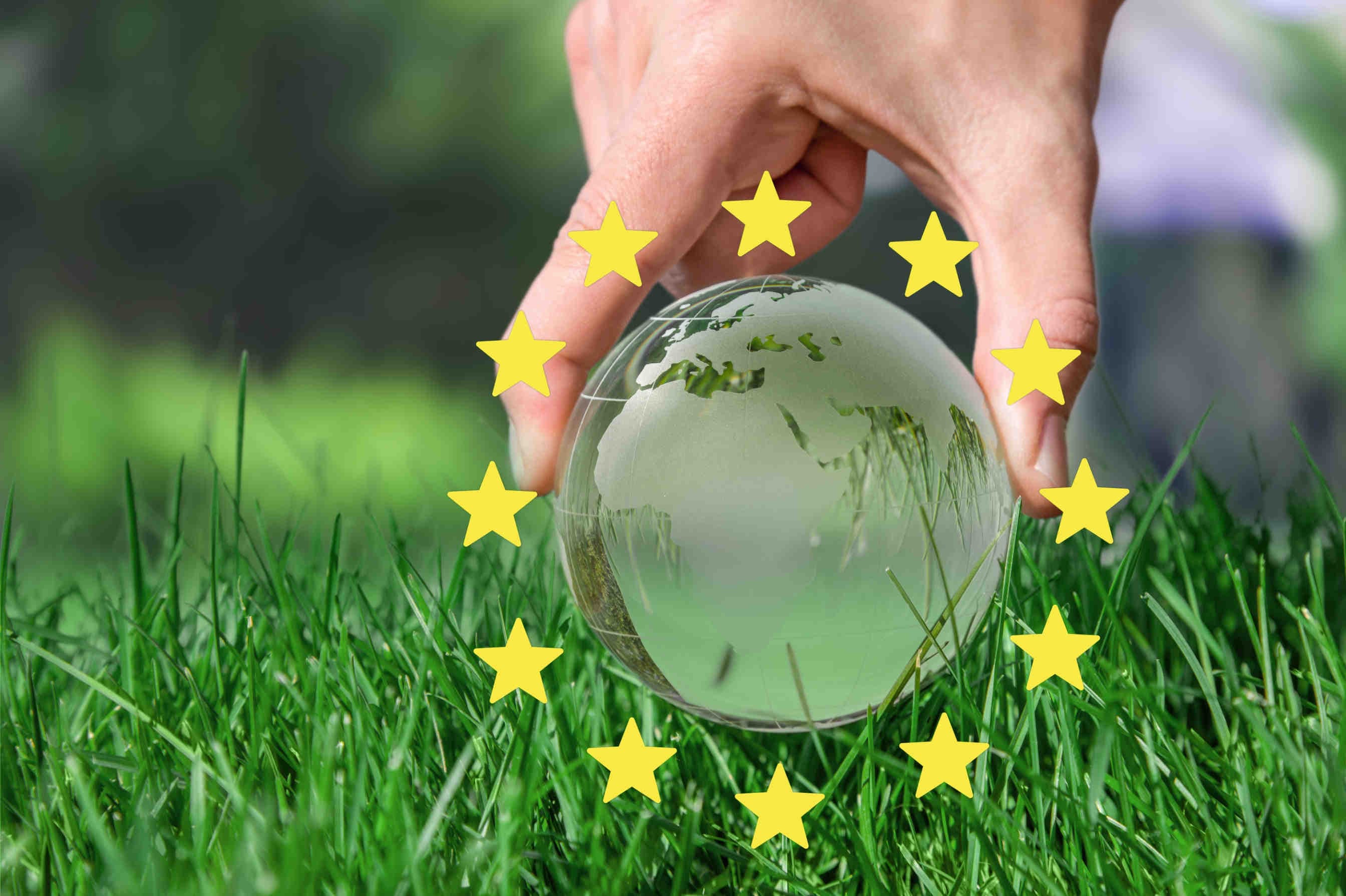 CSRD e ESRS E4 - Biodiversità: impatto in azienda