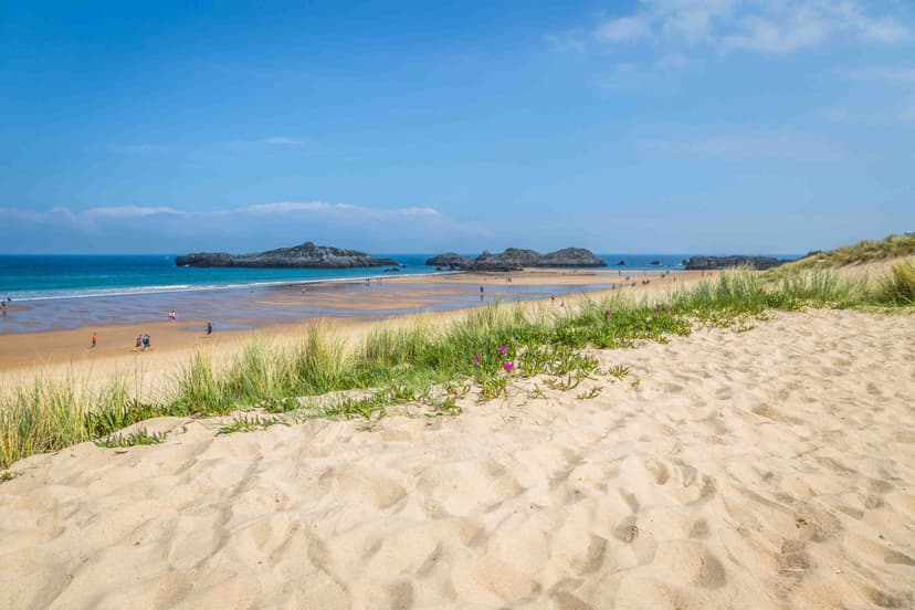Beaches Meaining Beaches: types, formation, conservation