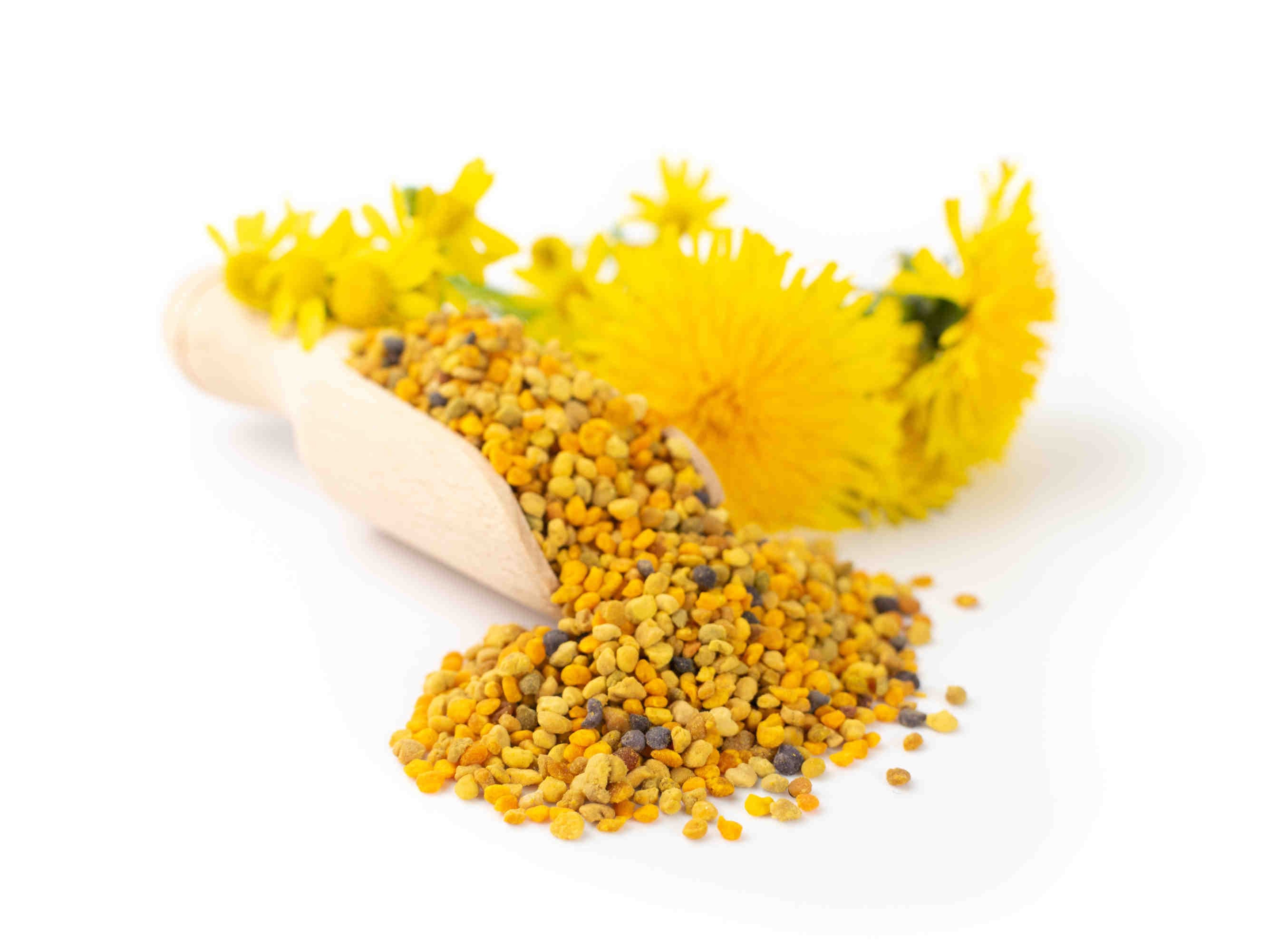 Coccinelle, farfalle, nettare e polline