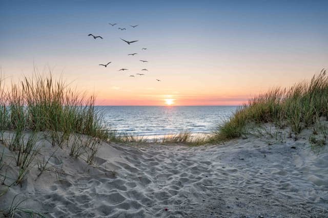 Beaches Meaining Beaches: types, formation, conservation