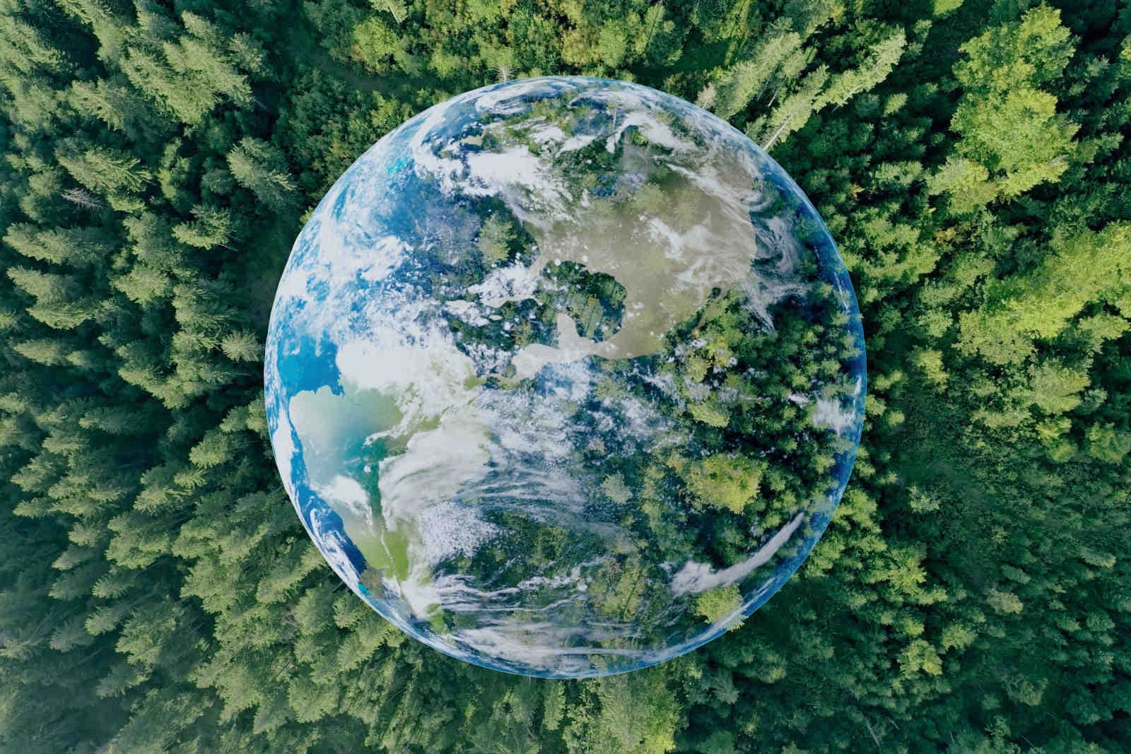 Environmental Conservation: What It Is and Why It Matters