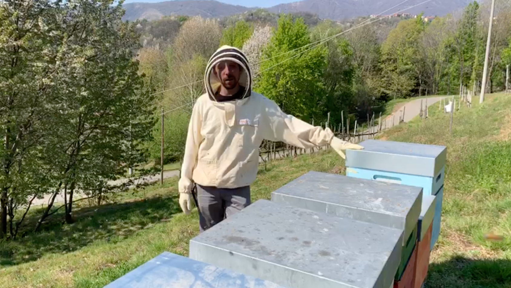 Discover the beekeepers